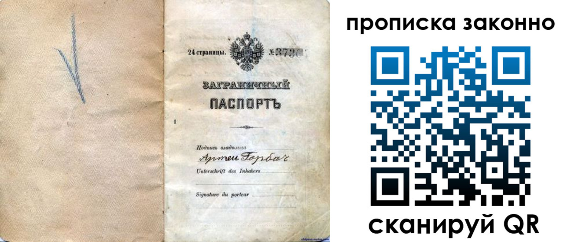 прописка 2025 в Новоаннинском